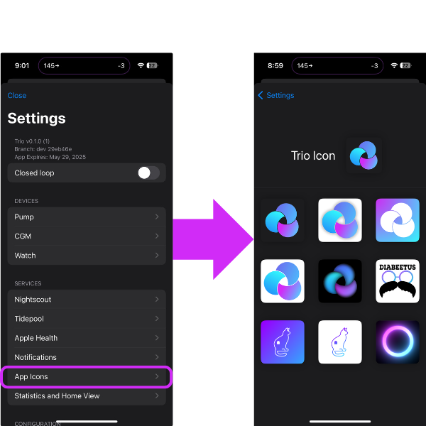 ../_images/changeAppIcon.png